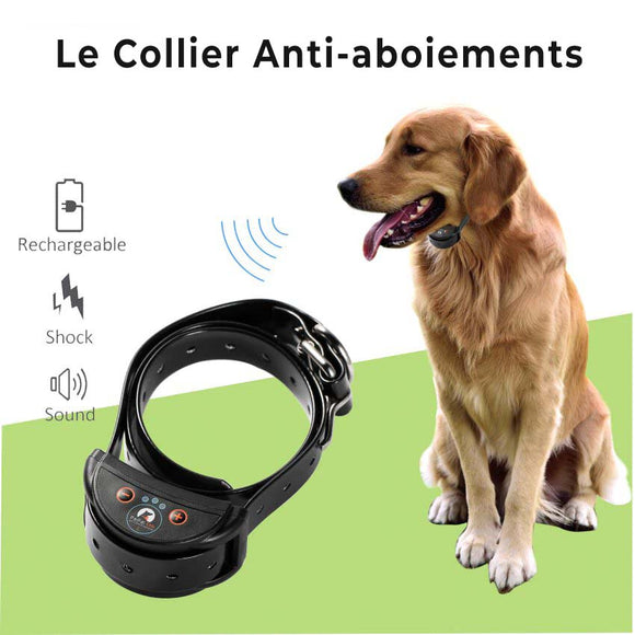 Le Collier Anti-aboiements pour chien